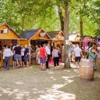 GAILLAC FETE DES VINS