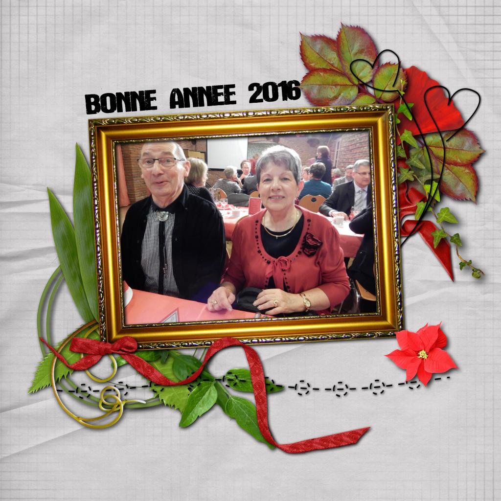 BONNE ANNEE 2016