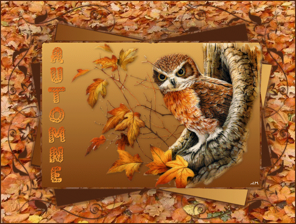 Automne 3