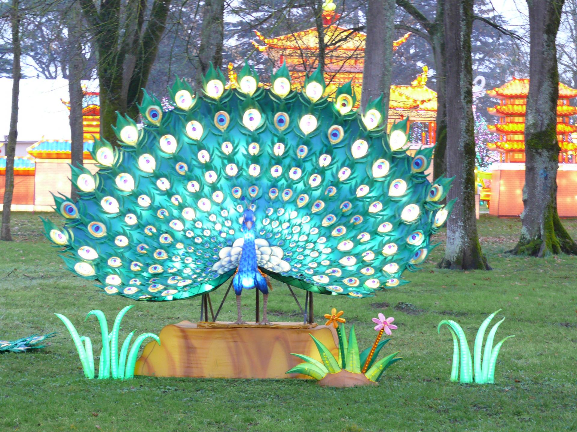 Feerie de chine