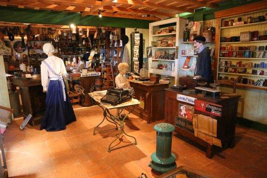 Un apercu du musee des